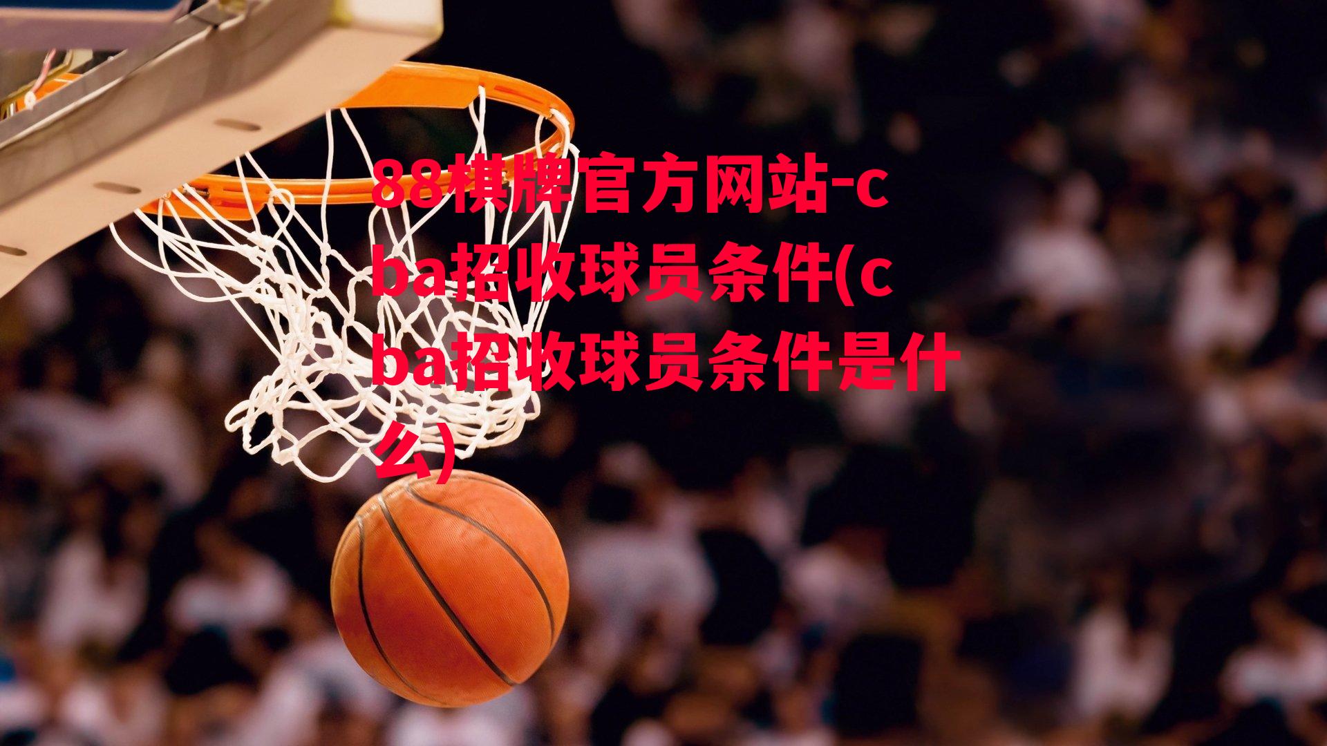 cba招收球员条件(cba招收球员条件是什么)